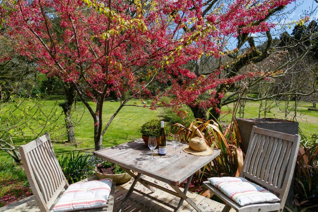 Villa Hare'S Rest Lago Lago Taupo Esterno foto